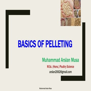 Basics of Pelleting 