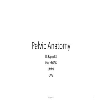 Anatomy of female pelvis bony and soft tissue PPTX