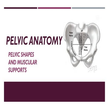 Classification of pelvis | PPTX