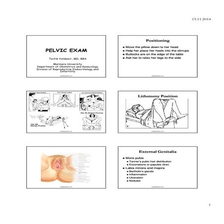 clitorisclitoris Gynecologic pelvic examination | PDF