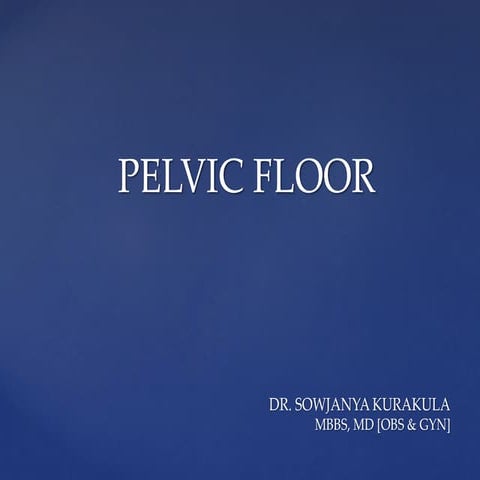 Pelvic floor