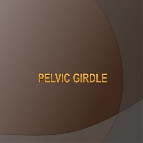 Pelvic girdle