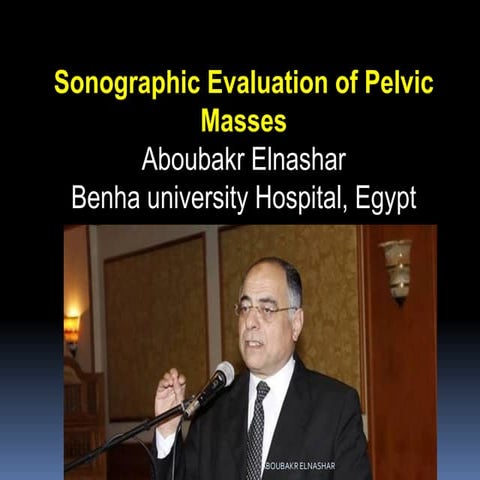 Sonographic Evaluation of Pelvic Masses 