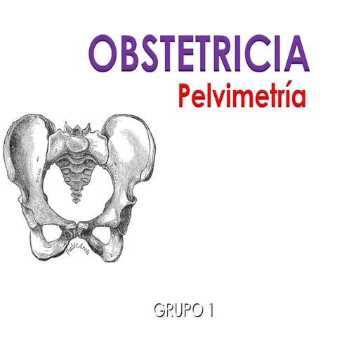 Pelvimetria y Diametros Fetales | PPTX