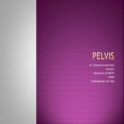 Pelvis - Obstetrical Significance