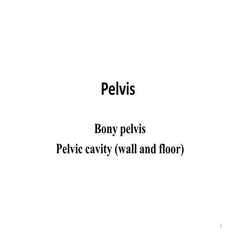 Pelvis-Bony pelvis and soft tissue anatomy(1).pdf