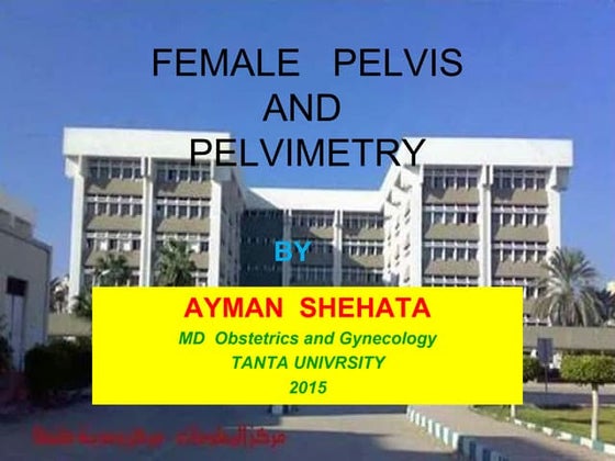 Obstetrical pelvic measurements | PPT