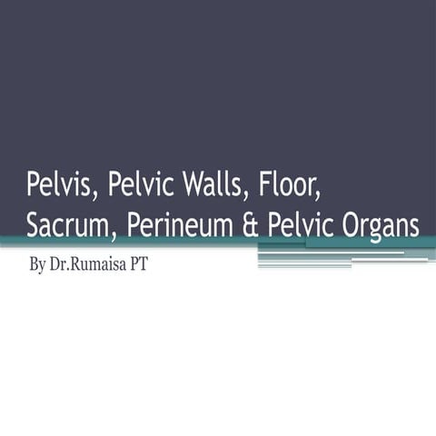 Pelvis, Pelvic Walls, Floor, Sacrum, perineum by Dr.Rumaisa PT | PPTX