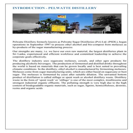 Ethanol production from molasses | PPTX