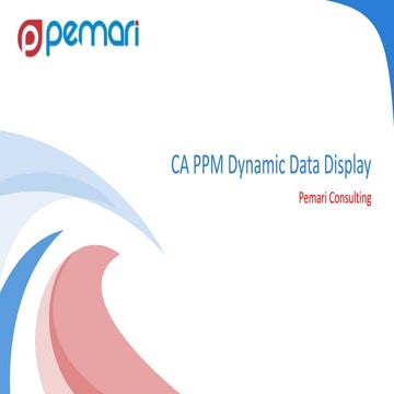 Pemari CA PPM Dynamic Data Display - Screenshots | PPT