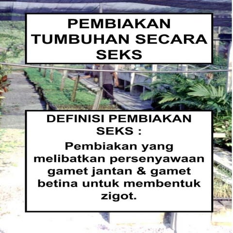 Pembiakan tumbuhan secara seks