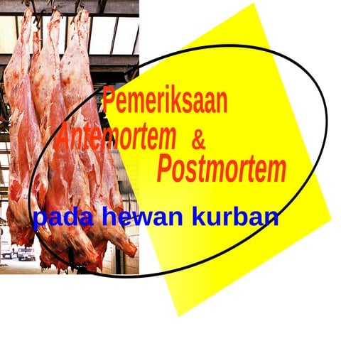 Pemeriksaan Antemortem pemotongan ternak.pptx