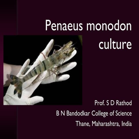 Fishery Science: Penaeus monodon culture sudeshrathod