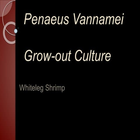 Penaeus vannamei grow-out culture