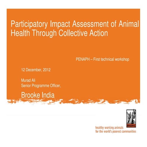 Participatory impact assessment of animal health through collective action