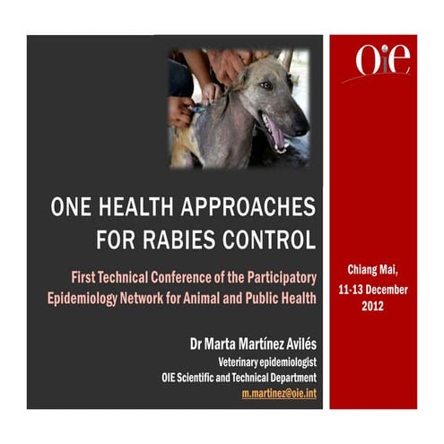 One health approaches for rabies control