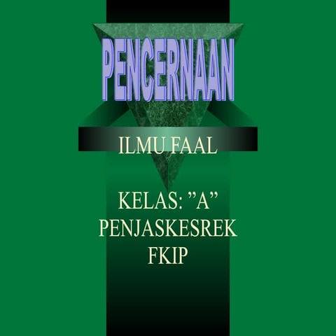 Pencernaan Daninurriyadi