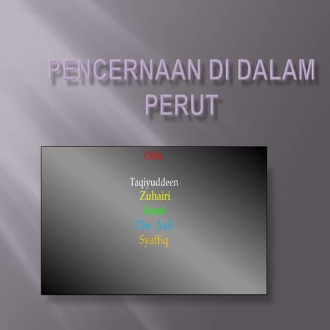 Pencernaan dalam Perut