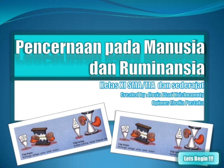 Pencernaan Pada Manusia Dan Ruminansia Uas