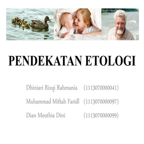 Pendekatan etologi