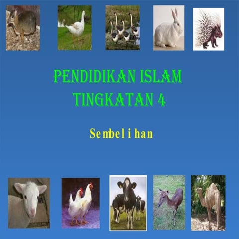 Pendidikan islam