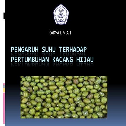 Penelitian kacang hijau