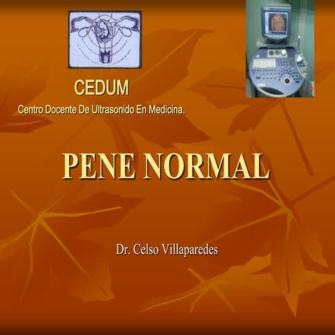 Ecografia de Pene normal