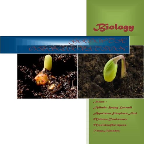 Pengamatan pertumbuhan biji