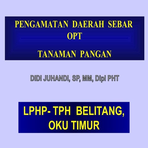 SS UNI SEBAR BULU WA