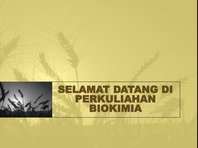 PengantarBiokiPengantarBiokiPengantarBiokiPengantarBiokim.ppt