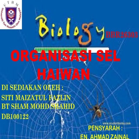 Organisasi Sel Haiwan (Siti Maizatul Fazlin)