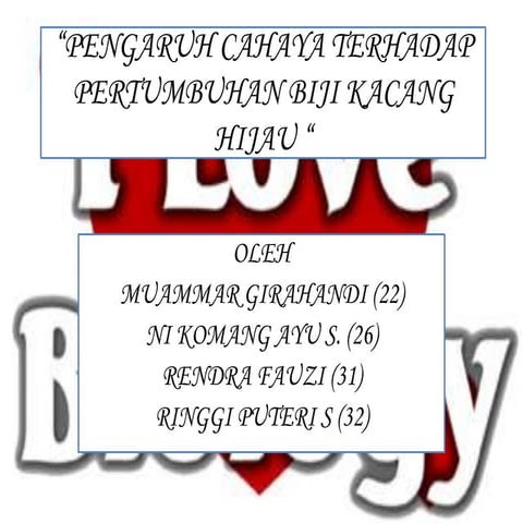 Pengaruh cahaya terhadap pertumbuhan kacang hijau