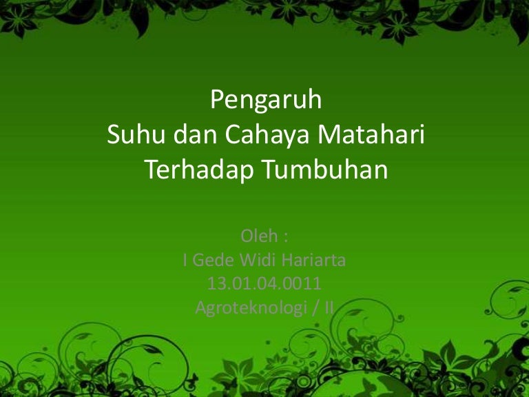 Pengaruh Suhu Dan Matahari Terhadap Tumbuhan Pengaruh Suhu Dan Matahari Terhadap Tumbuhan