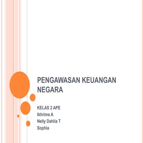Pengawasan keuangan negara