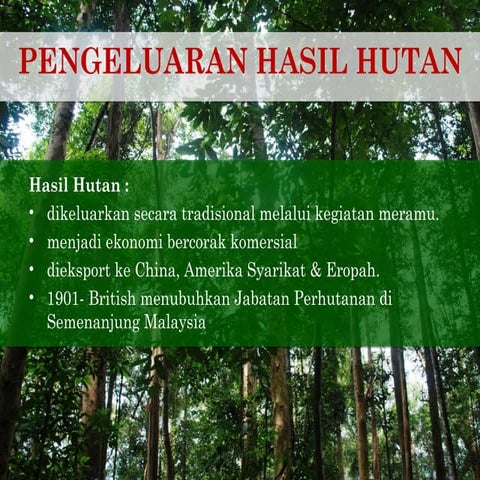 Pengeluaran hasil hutan baru | PPT