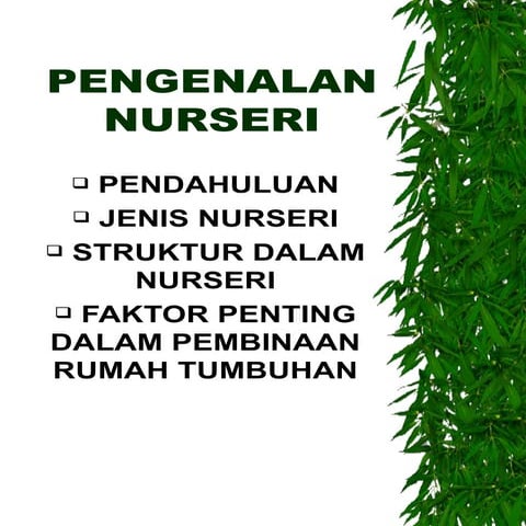 Pengenalan kepada nurseri