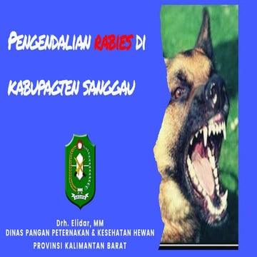 Sosialisasi Rabies 2020.ppt.pptxHGFFDFFDDDX | PPTX