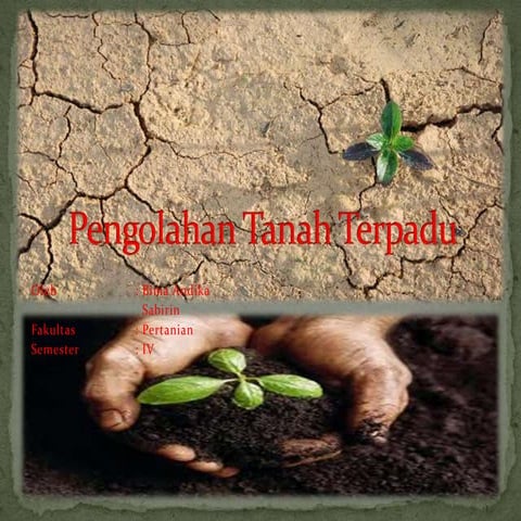 Pengolahan tanah terpadu