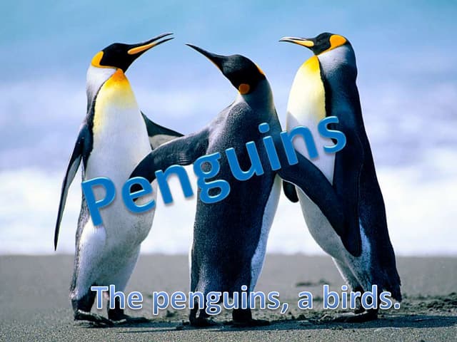 Penguin