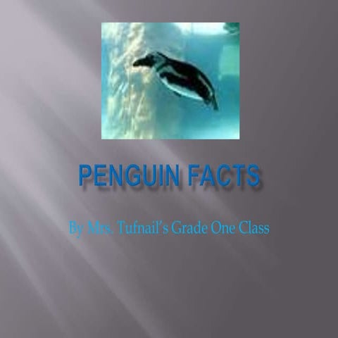 Penguinfacts