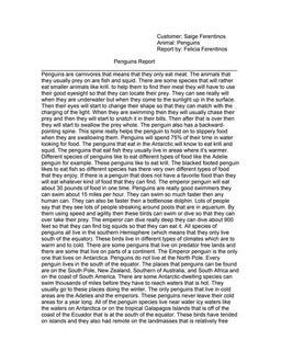 Penguins | PPT