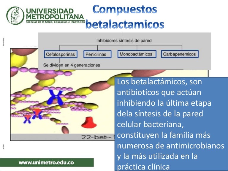 tratamiento de la terapia de prostatitis por enterococcus faecalis
