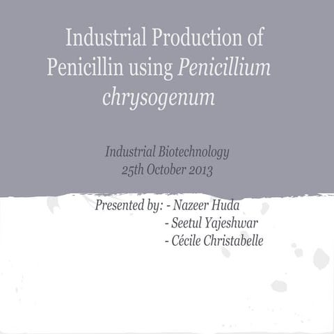 Penicillin prodtn using penicillium chrysogenum