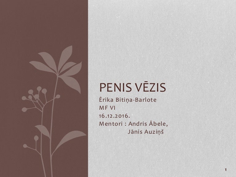tip cu atașament penis
