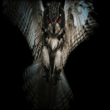 Harnessing Digital Transformation to Create Business Growth—Hootsuite CMO Pen...