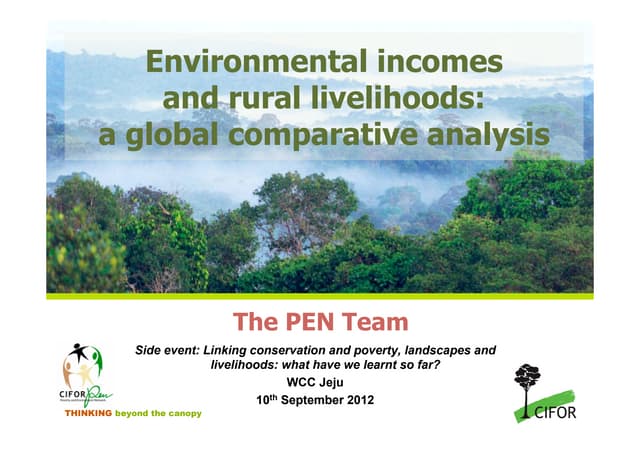 Environmental incomes and rural livelihoods: a global comparative analysis