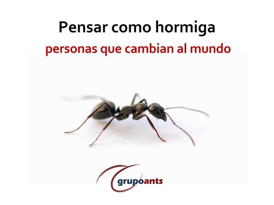 Pensar como hormiga