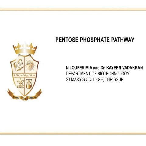Pentose phosphate pathway