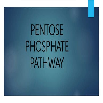 Pentose phosphate pathway