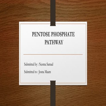 Pentose Phosphate Pathway - MSc biotechnology